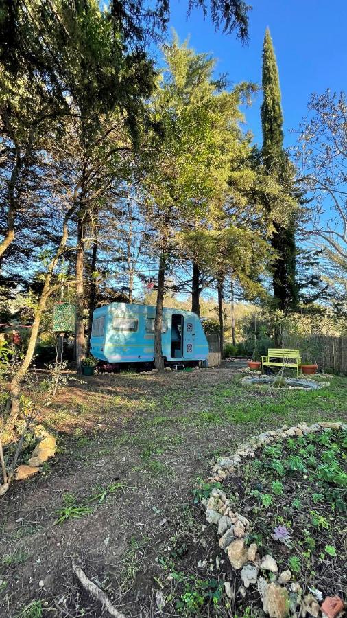 Ir Por Ai Arrabida Hotell Azeitao Eksteriør bilde
